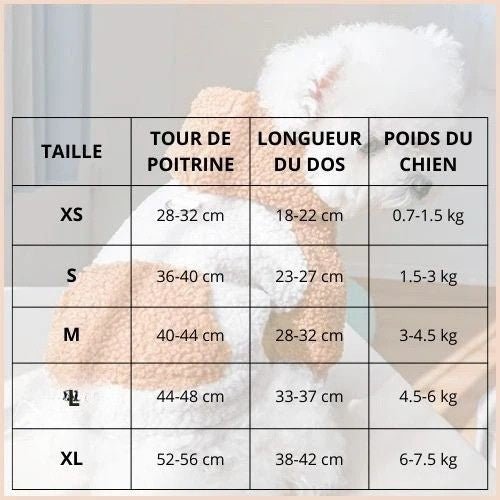 Pull-pour-chien-hiver-avec-capuche-pour-petit-et-moyen