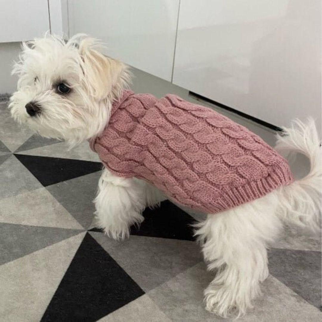 Pull pour chien | DogSweater™ - Mon Shiba Inu