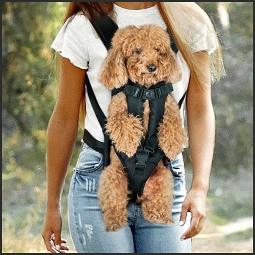 sac-a-dos-chien-noir