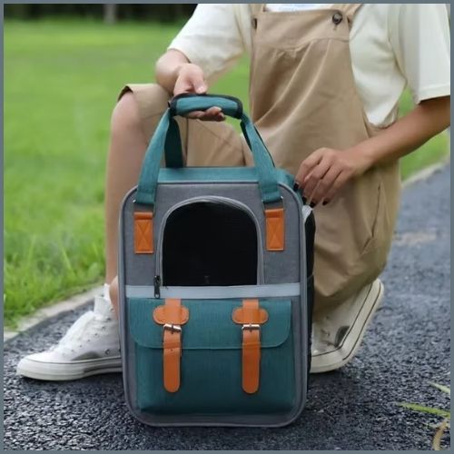 sac-a-dos-chien_petite-taille-avec-fenêtre-en-maille-vert