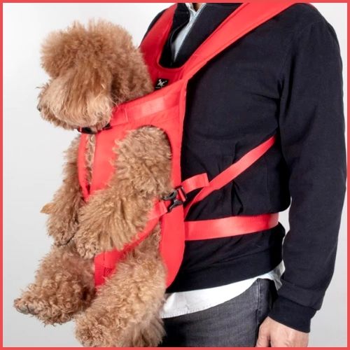 sac-a-dos-chien-rouge