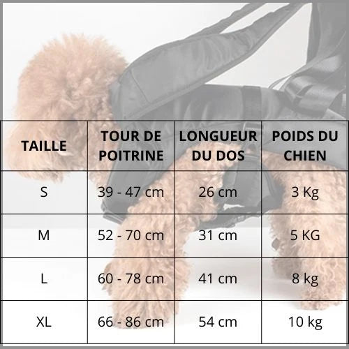 sac-a-dos-chien-taille
