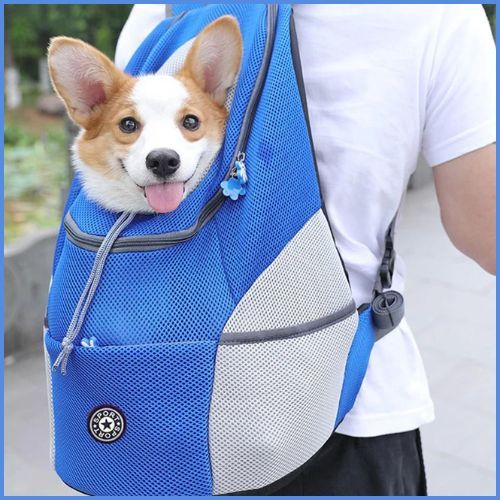 sac-a-dos-pour-chien-bleu-gris