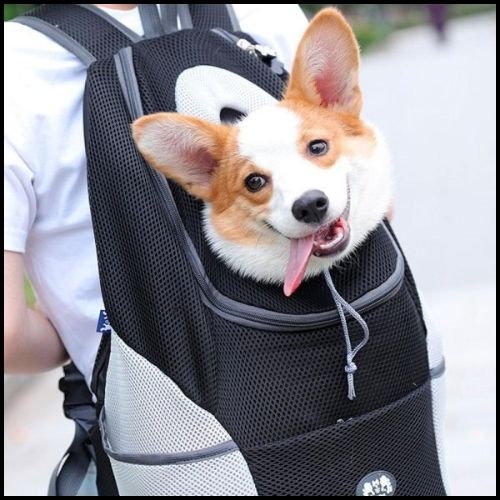 sac-a-dos-pour-chien-noir-gris