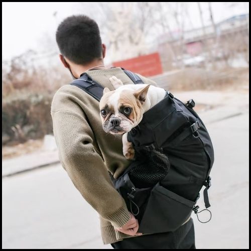 sac-a-dos-pour-chien-noir