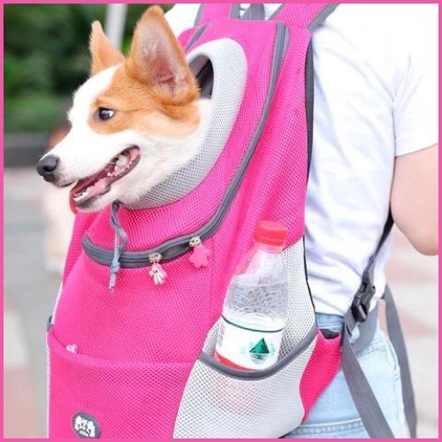 sac-a-dos-pour-chien-rose-gris