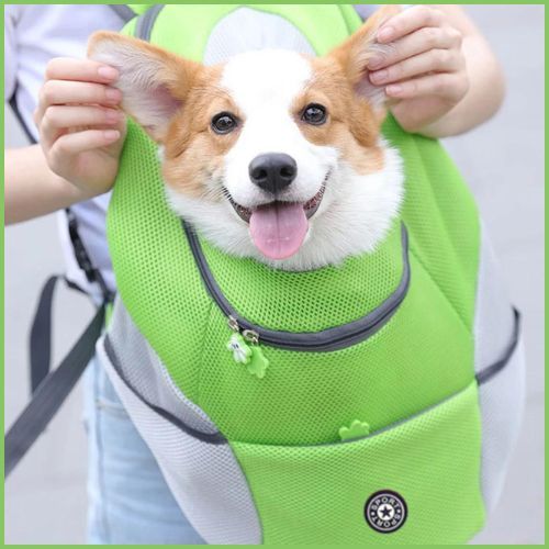 sac-a-dos-pour-chien-vert-gris