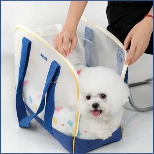 sac-de-transport-pour-chien-bichon-blanc