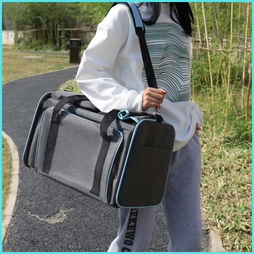 sac-de_transport-chien_bleu