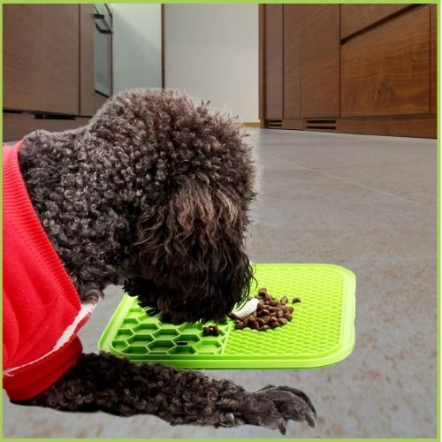 tapis-de-lechage-chien_vert