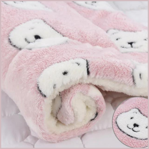 tapis-pour-chien-ours