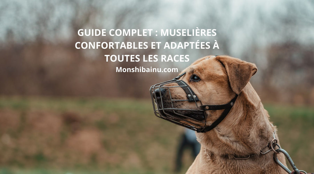 Muselière chien : les modèles idéaux selon la taille, le museau et le confort