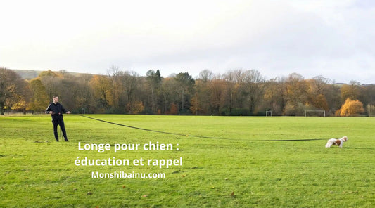 longe-pour-chien