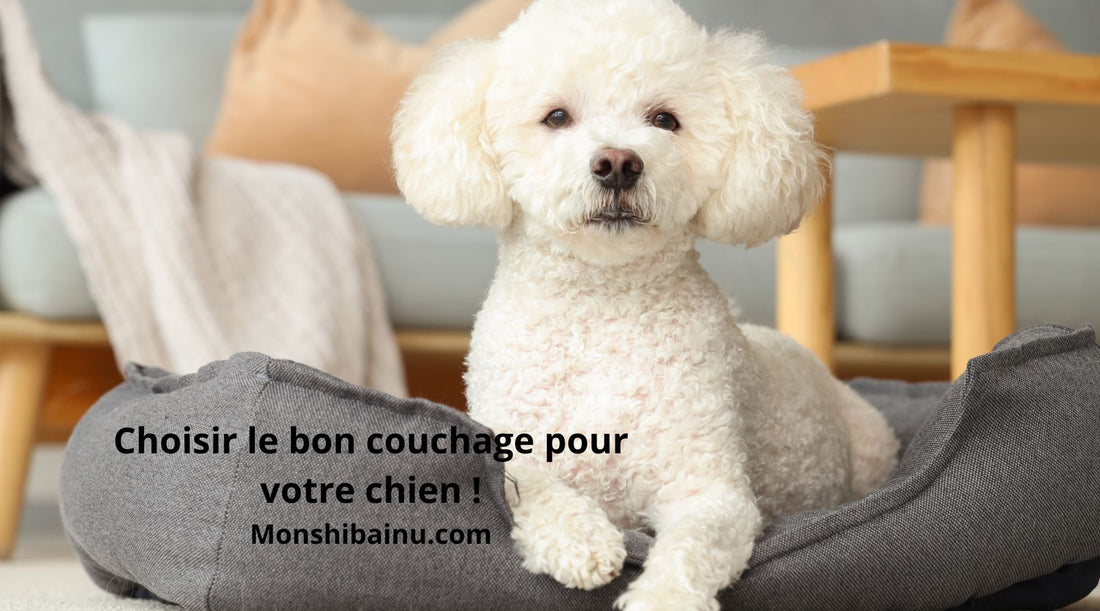 Quel est le meilleur couchage pour chien ?