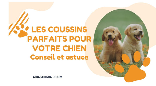 coussin_chien