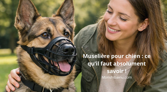 Muselière-chien