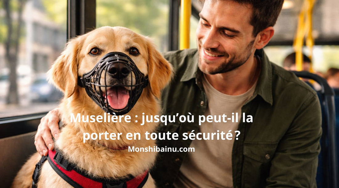 Combien-de-temps-un-chien-peut-porter-une-muselière-sans-danger-?