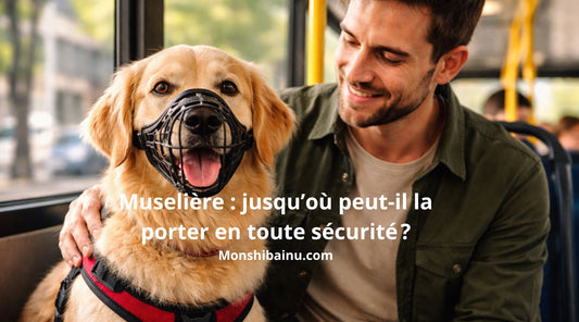 Combien-de-temps-un-chien-peut-porter-une-muselière-sans-danger-?