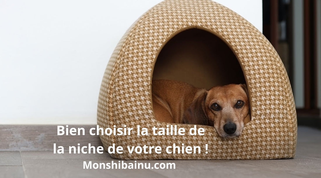 Comment-déterminer-la-taille-idéale-d'une-niche-pour-chien -?