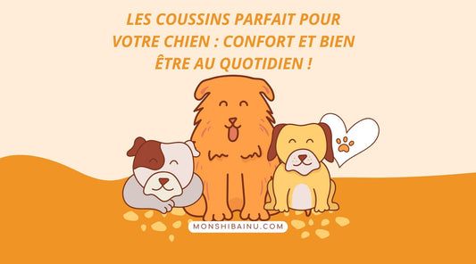 Coussin chien : Le confort ultime pour votre compagnon !