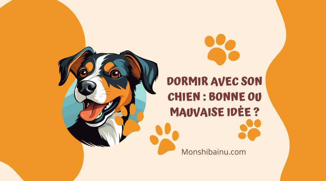 Est-il approprie de faire dormir son chien dans la chambre ?