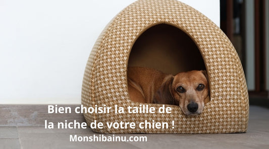 Comment déterminer la taille idéale d'une niche pour chien ?