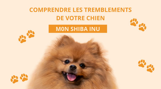 Pourquoi mon chien tremble?