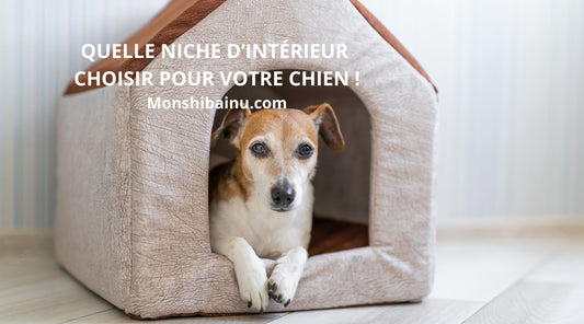 Pourquoi-votre-chien-a-t-il-besoin-d’une-niche-d’intérieur-?