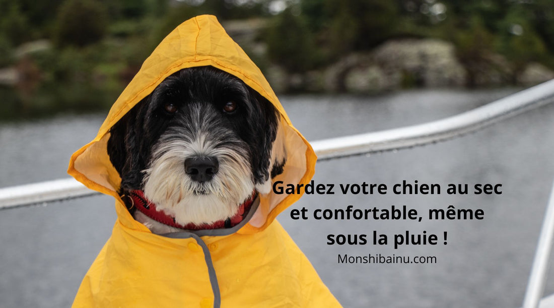 Quel-est-le-meilleur-imperméable-pour-chien-?