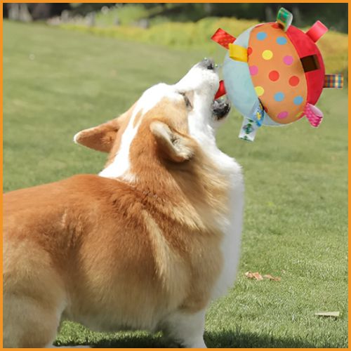 Ballon_chien_interactif