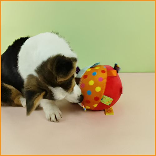 Ballon_chien_orange
