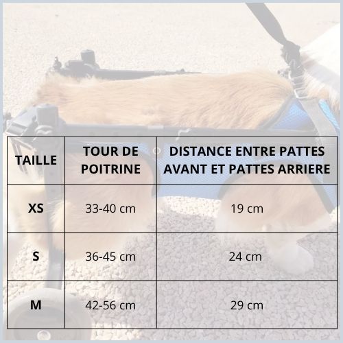 Chariot-pour-chien-handicapé-soutien-total-taille