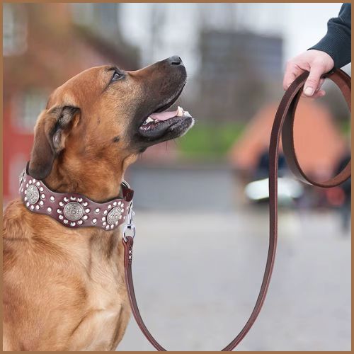 Collier-chien-cuir-artisanal-et-confortable-marron