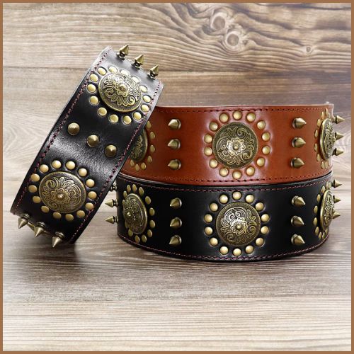 Collier-chien-cuir_résistant-clouté-pique