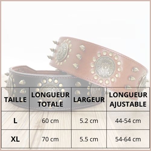 Collier-chien-cuir_résistant-clouté-tailles