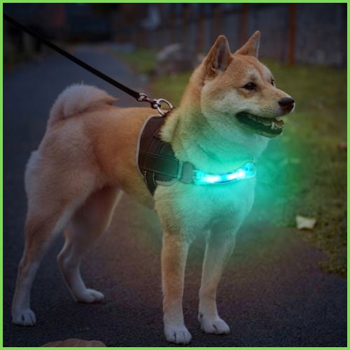 Collier-lumineux-chien-bande-en-LED-avec-attache-pratique-vert