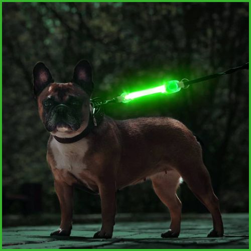 Collier-lumineux_chien_vert