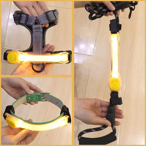 Collier-lumineux-chien_orange
