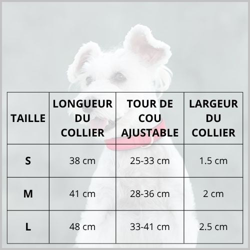 Collier-pour-chien-rembourré-et-imperméable-taille