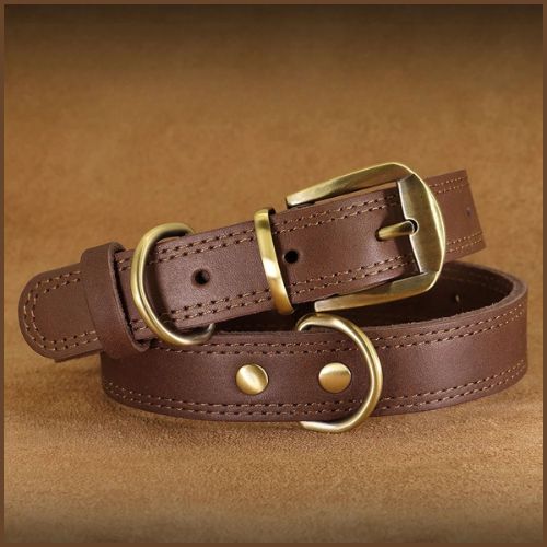 Collier-chien-cuir-résistant-pour-tailles-moyenne-et-grande-marron