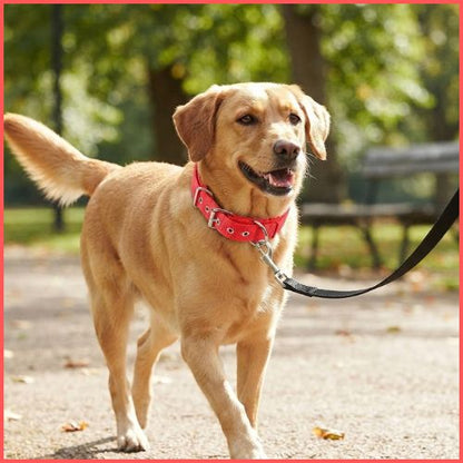 Collier_chien-en-nylon-résistant-et-réglable-rouge