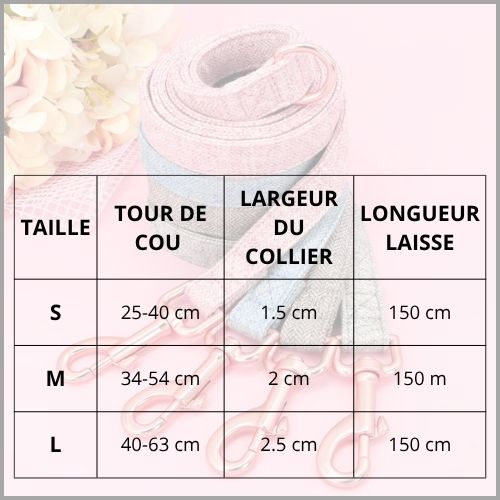 Collier-chien-personnalisé-avec-gravure-et-laisse-taille