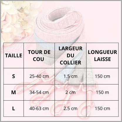 Collier-chien-personnalisé-avec-gravure-et-laisse-taille