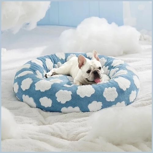 Coussin-anti-stress-chien-confortable-et-apaisant-nuage
