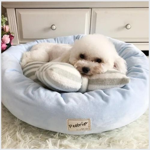 Coussin-anti-stress-chien-relaxant-et-enveloppant-armoire