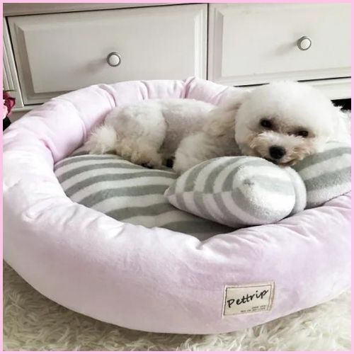 Coussin-anti-stress-chien-relaxant-et-enveloppant-rose