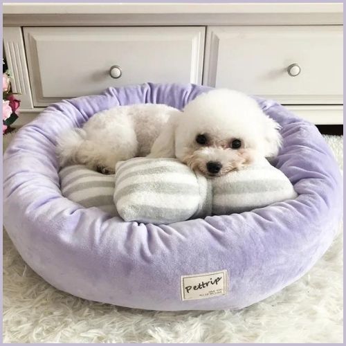Coussin-anti-stress-chien-relaxant-et-enveloppant-viola