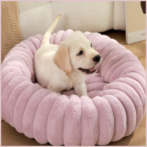 Coussin-chien-douillet-lilas