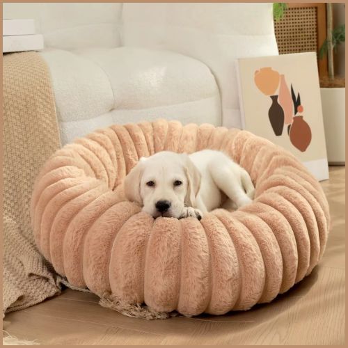 Coussin-chien-douillet_beige