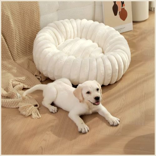Coussin-chien-douillet_blanc